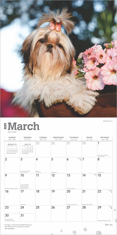 2025 Shih Tzu Wall Calendar