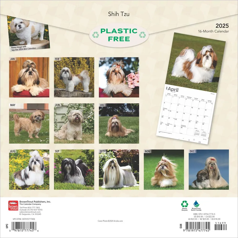 2025 Shih Tzu Wall Calendar