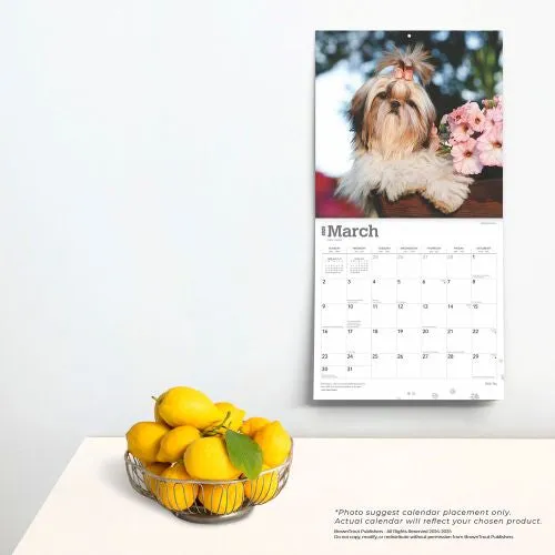 2025 Shih Tzu Wall Calendar