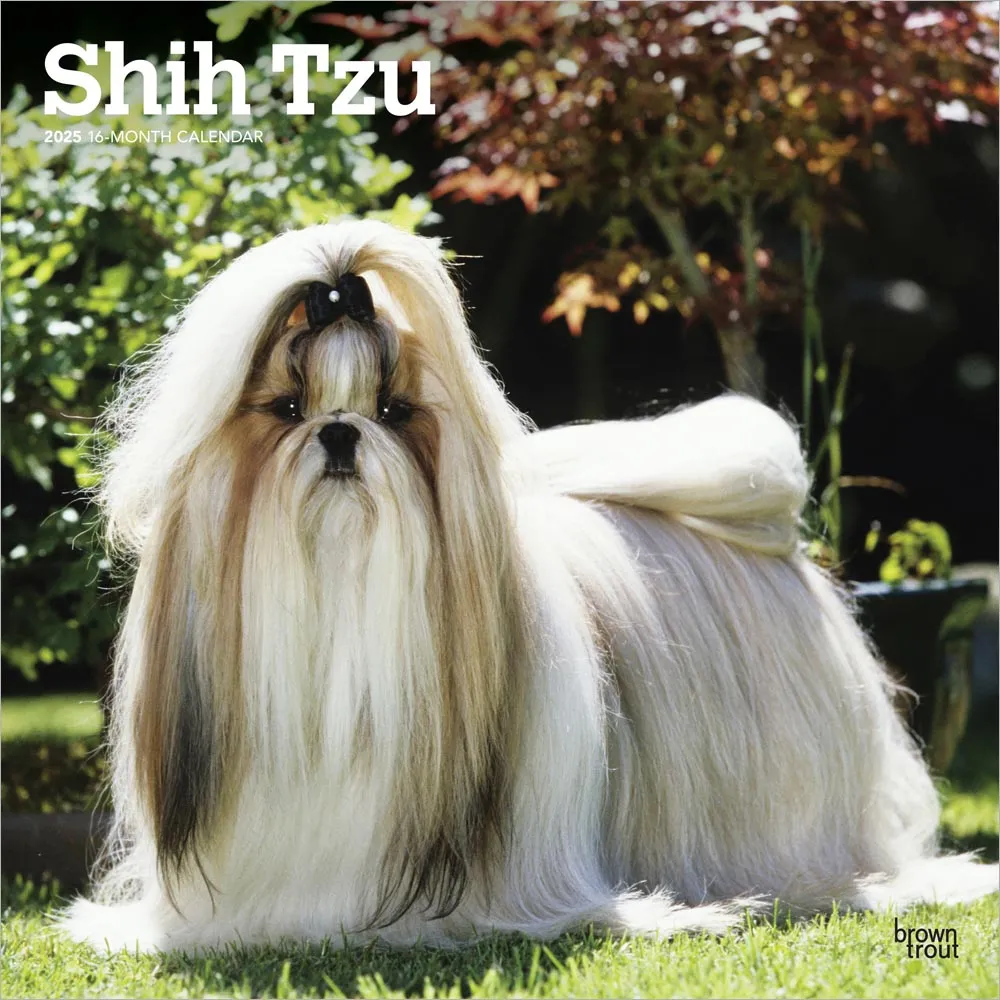 2025 Shih Tzu Wall Calendar