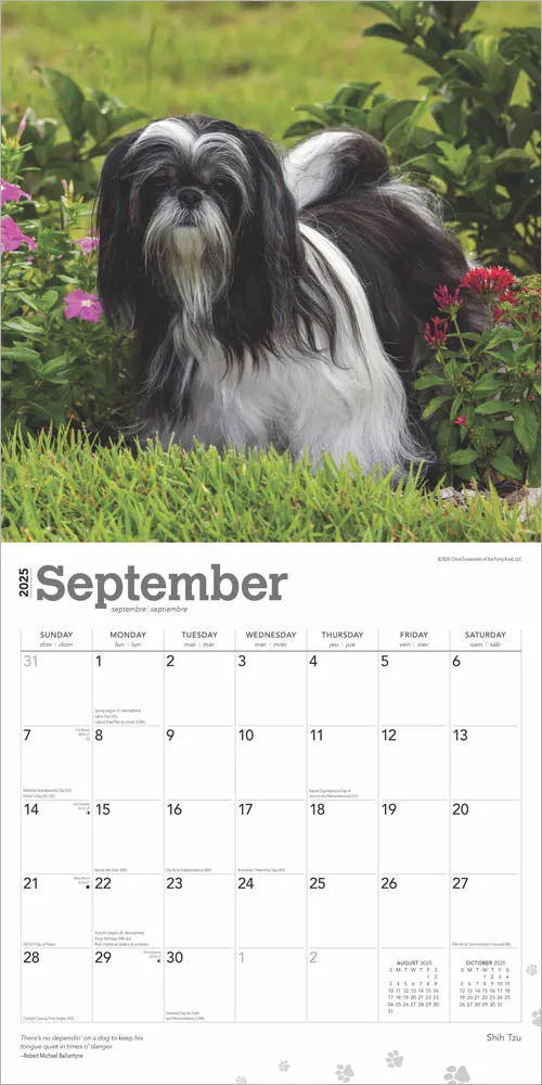 2025 Shih Tzu Wall Calendar