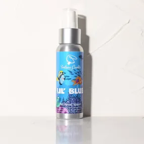 LIL' BLUE Personal Space Air Freshner