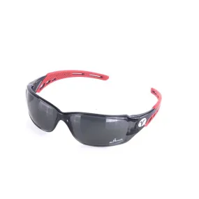 Security Glasses RF504285