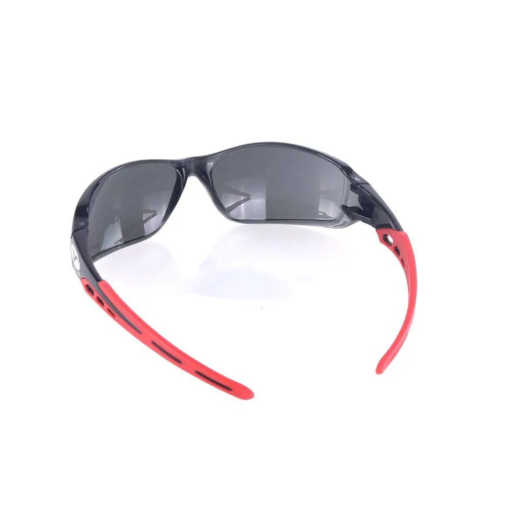 Security Glasses RF504285