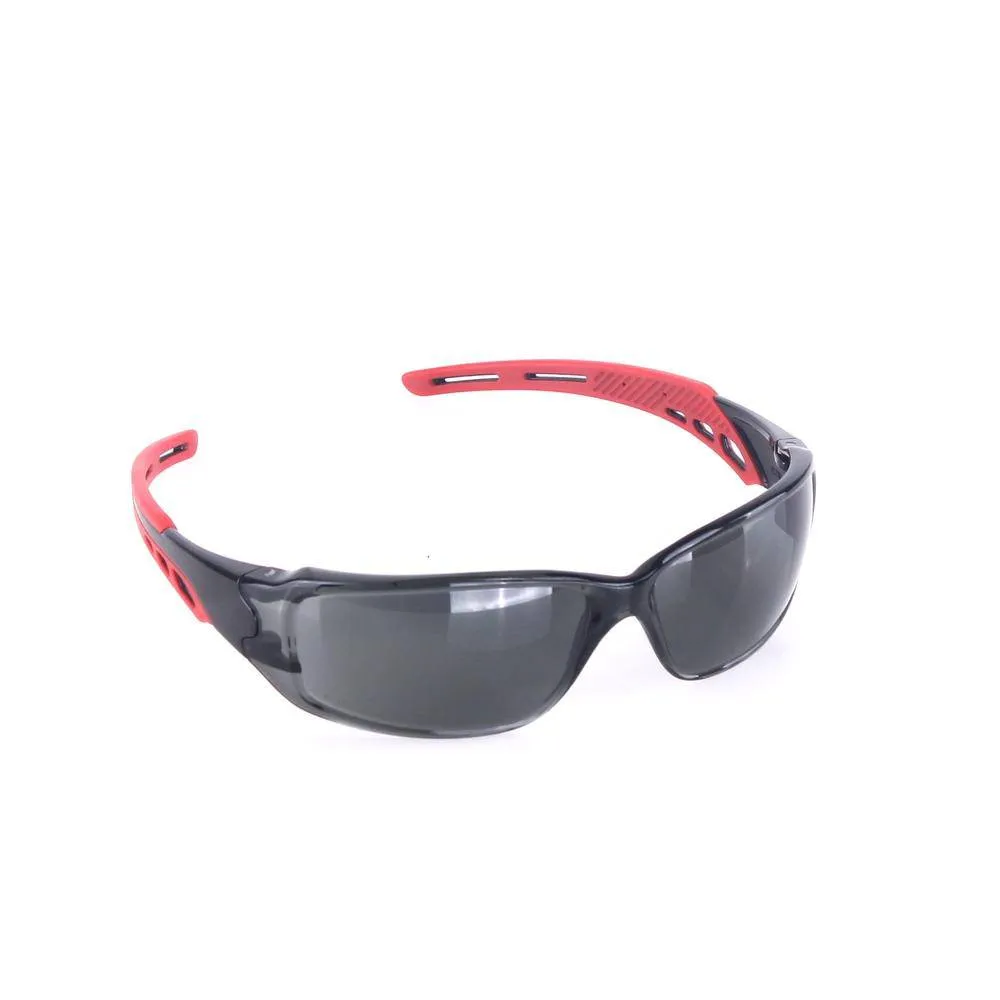 Security Glasses RF504285