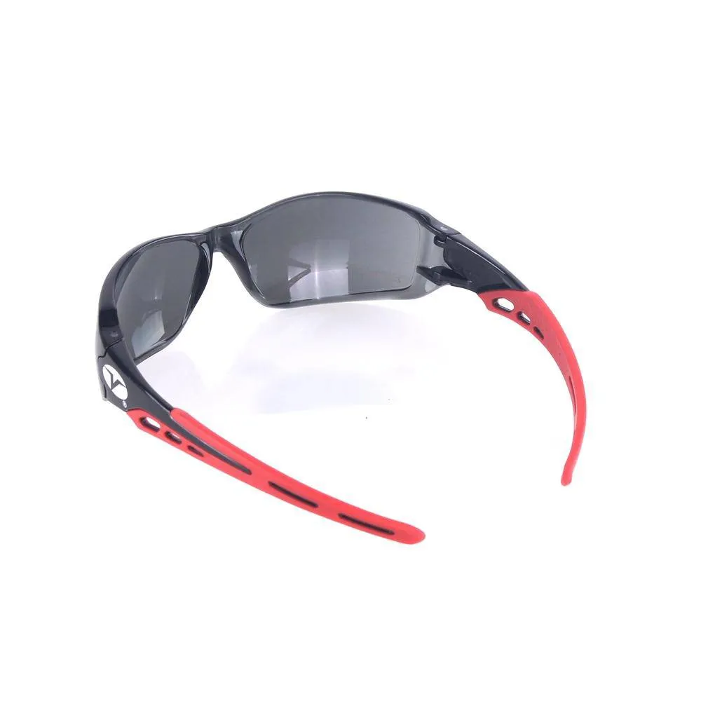 Security Glasses RF504285