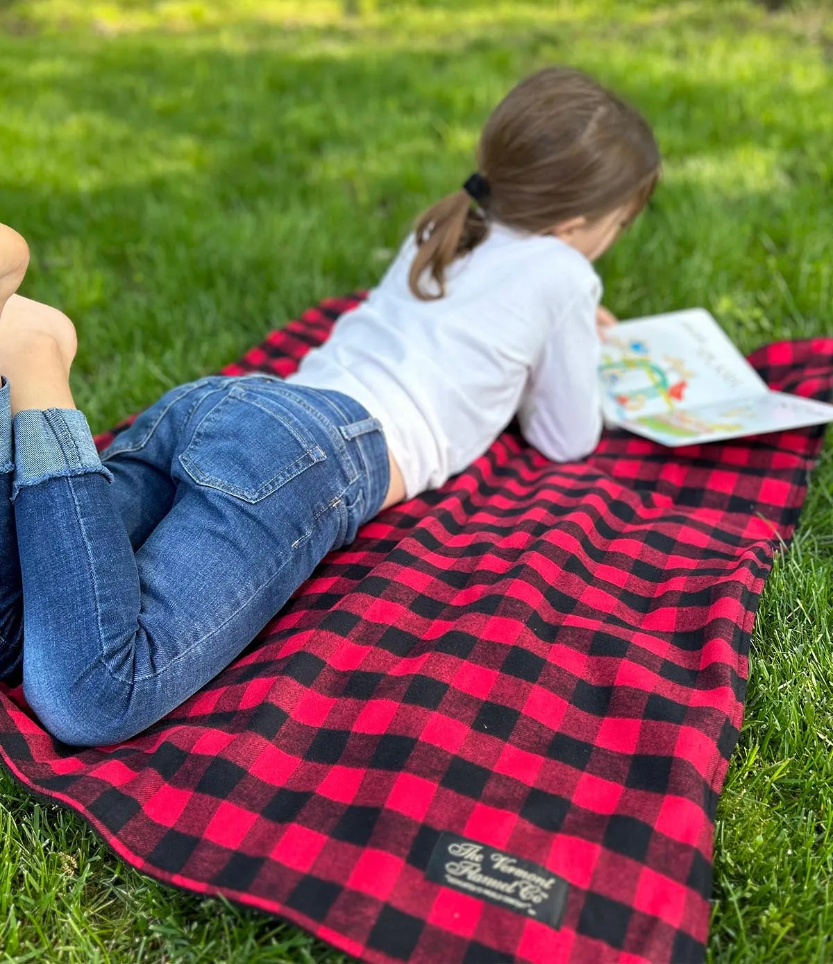 Stadium Mini Blanket - Red Buffalo