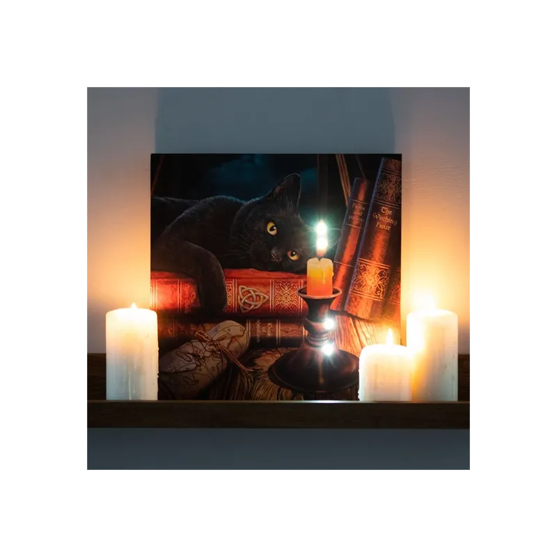 The Witching Hour Light Up Canvas Plaque by Lisa Parker - Enchanting Illuminated Art