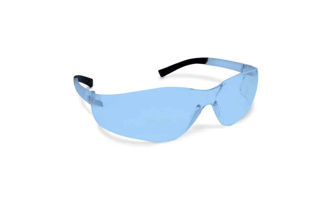 Workhorse® Anti-Fog Safety Glasses, Blue Lens